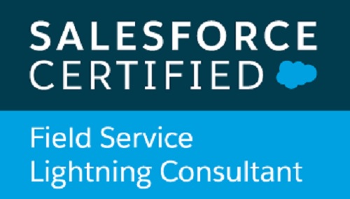 Salesforce Field Service Lightning Consultant