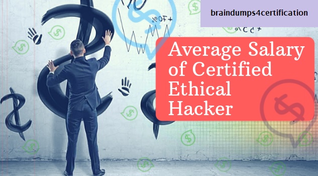 What is the Salary of CEH Certified Ethical Hacker?