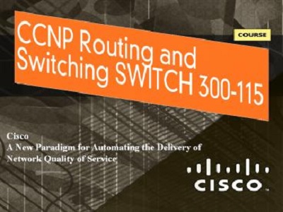 What is the best way of using Cisco CCNP 300-115 Exam Dumps?