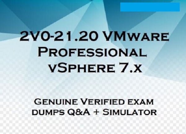 2V0-21.20 VMware Exam Info