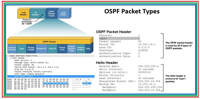 Diffrent OSPF Packet Types