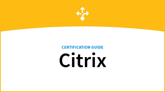 How to Find Citrix NetScaler Mock Exam Dumps Questions & Free Files?