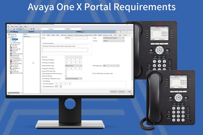 How do I access Avaya One-X portal?