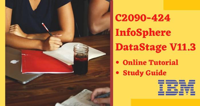 What is IBM InfoSphere DataStage v11.3 C2090-424 Used For?