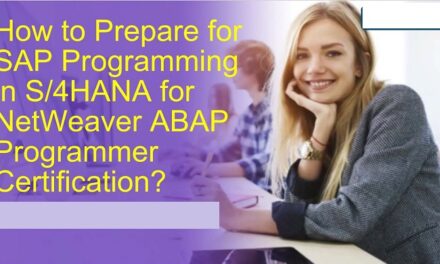 What is Programming in SAP S/4HANA, for SAP NetWeaver ABAP?
