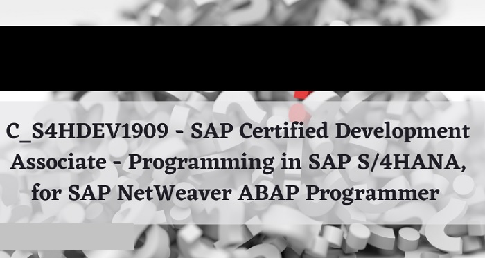 What is Programming in SAP S/4HANA
