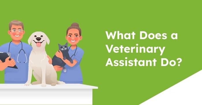 NAVTA Approved Veterinary Assistant (AVA) Practice Test