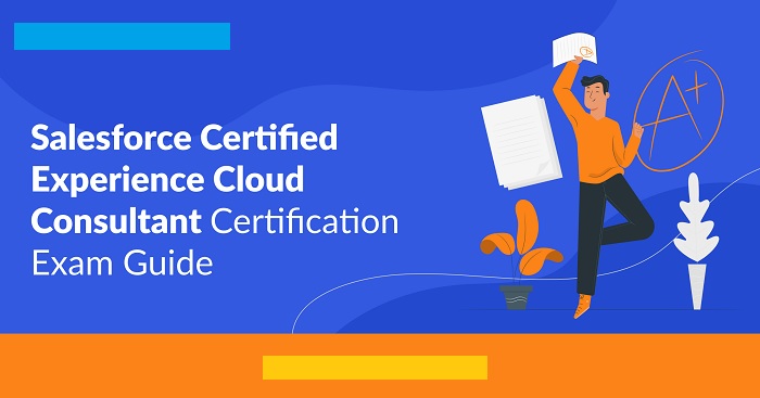 Cloud Consultant Certification Guide