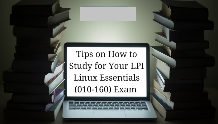 LPI 010-160 Exam