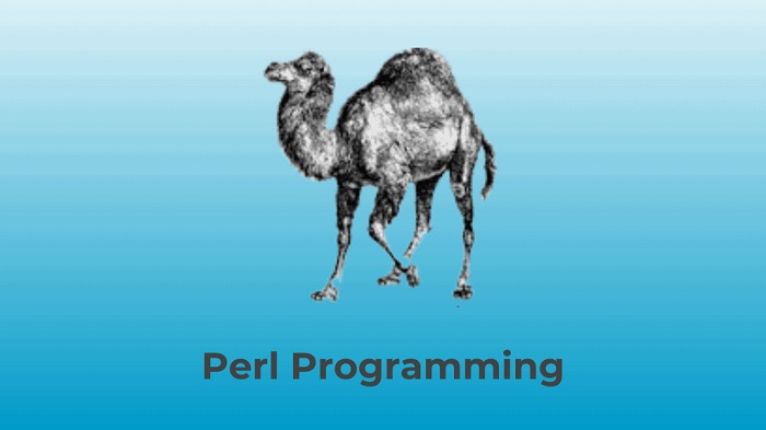 Perl Fundamentals Certification Training
