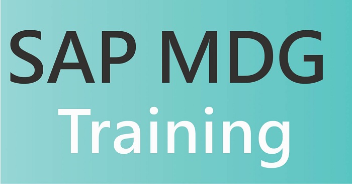 What is SAP MDG training 1